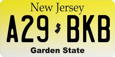 NJ license plate A29BKB