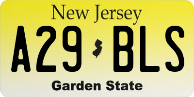 NJ license plate A29BLS