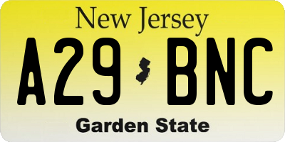 NJ license plate A29BNC