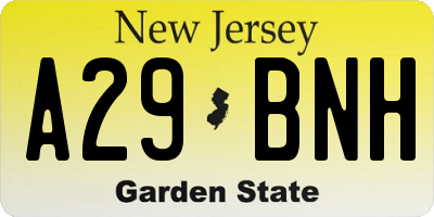 NJ license plate A29BNH