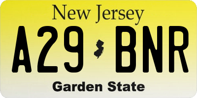 NJ license plate A29BNR
