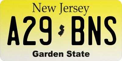 NJ license plate A29BNS
