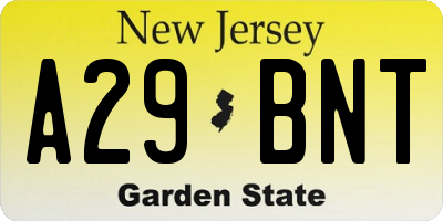 NJ license plate A29BNT