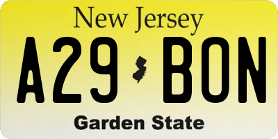 NJ license plate A29BON