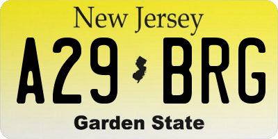 NJ license plate A29BRG