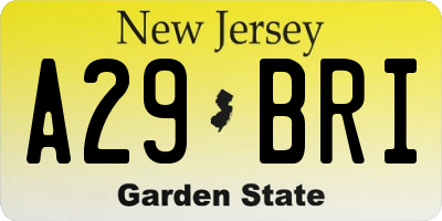 NJ license plate A29BRI