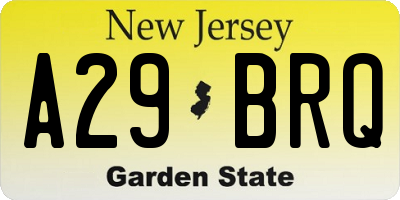 NJ license plate A29BRQ