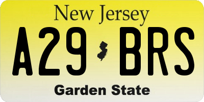 NJ license plate A29BRS