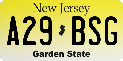 NJ license plate A29BSG