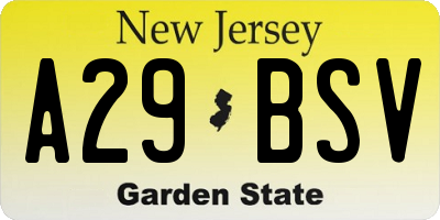 NJ license plate A29BSV