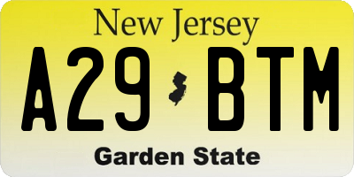 NJ license plate A29BTM