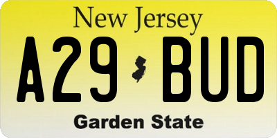 NJ license plate A29BUD