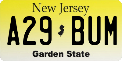 NJ license plate A29BUM