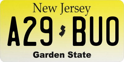 NJ license plate A29BUO