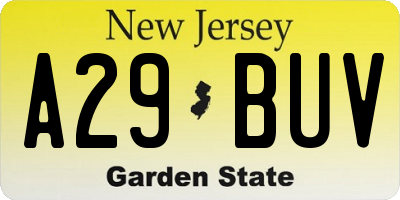 NJ license plate A29BUV