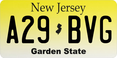 NJ license plate A29BVG
