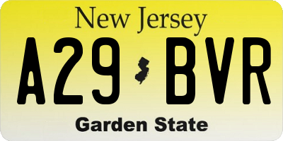 NJ license plate A29BVR