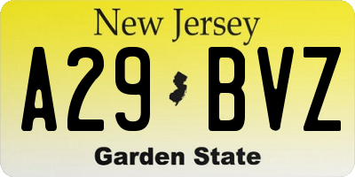 NJ license plate A29BVZ
