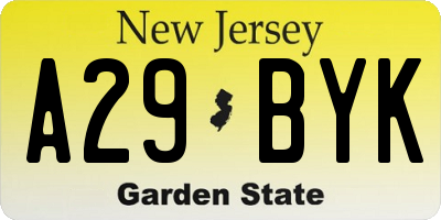 NJ license plate A29BYK