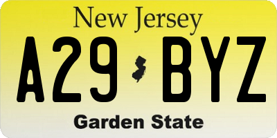 NJ license plate A29BYZ