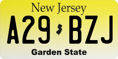 NJ license plate A29BZJ
