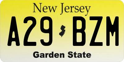 NJ license plate A29BZM