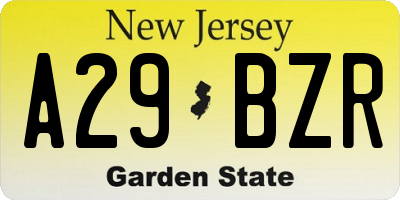 NJ license plate A29BZR