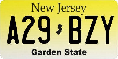 NJ license plate A29BZY