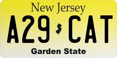 NJ license plate A29CAT