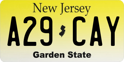 NJ license plate A29CAY