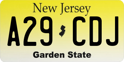 NJ license plate A29CDJ