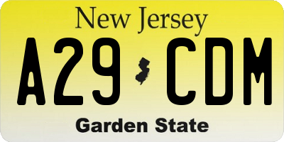 NJ license plate A29CDM