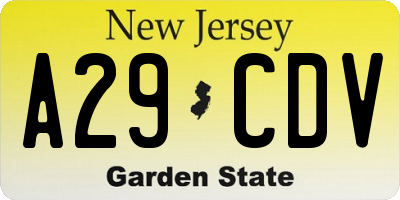 NJ license plate A29CDV