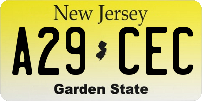 NJ license plate A29CEC