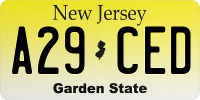 NJ license plate A29CED
