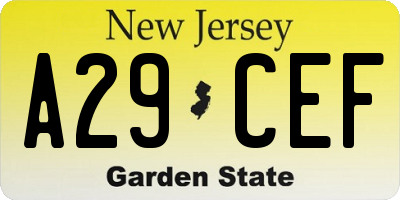 NJ license plate A29CEF