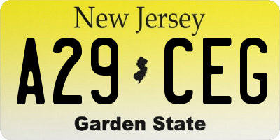 NJ license plate A29CEG