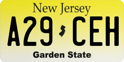 NJ license plate A29CEH