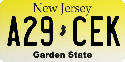 NJ license plate A29CEK