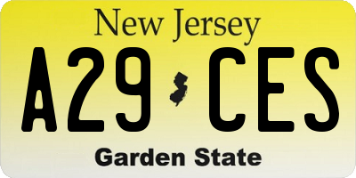 NJ license plate A29CES