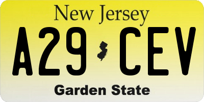 NJ license plate A29CEV