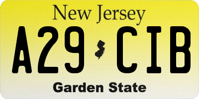 NJ license plate A29CIB
