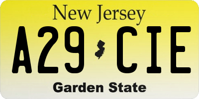 NJ license plate A29CIE