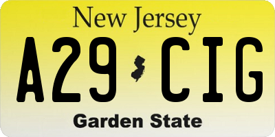 NJ license plate A29CIG