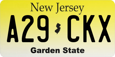 NJ license plate A29CKX