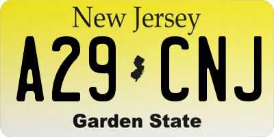 NJ license plate A29CNJ