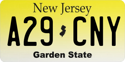 NJ license plate A29CNY