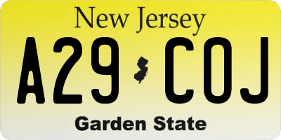 NJ license plate A29COJ