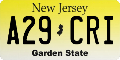 NJ license plate A29CRI