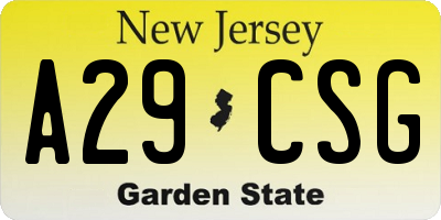 NJ license plate A29CSG